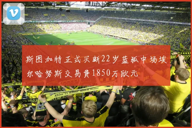 斯图加特正式买断22岁蓝狐中场埃尔哈努斯交易费1850万欧元